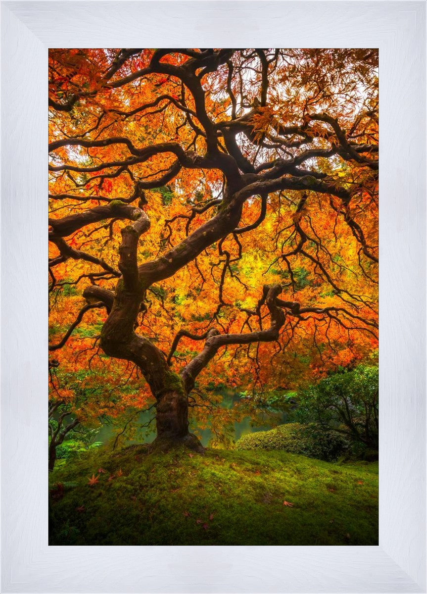 Tree of Perspective Vertical