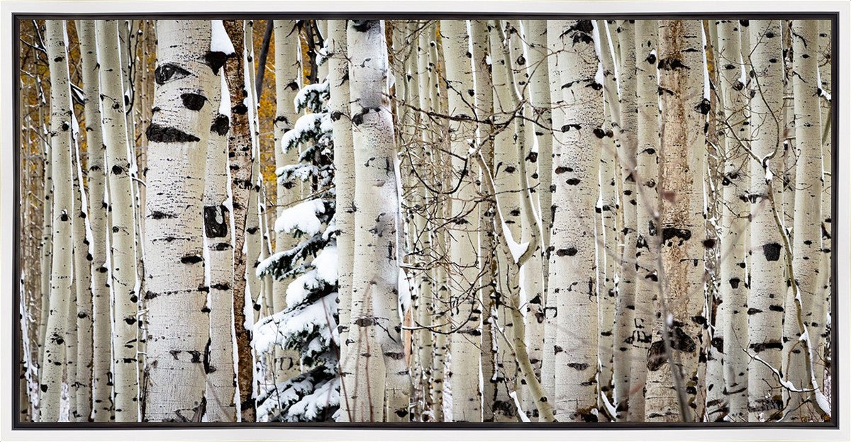 Christmas Around the Corner, Guardsman Pass, Park City, Utah