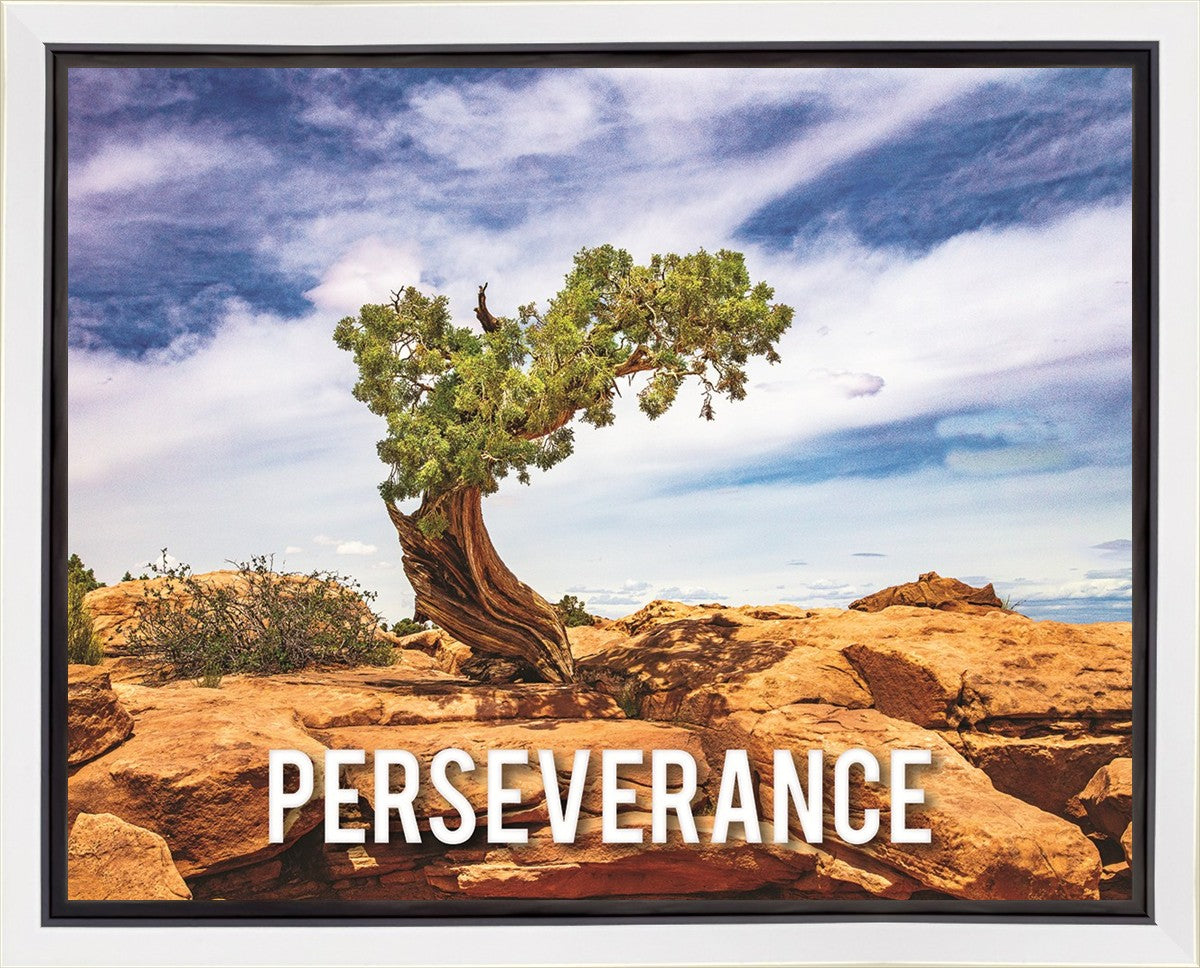 Perseverance Motivisional Poster