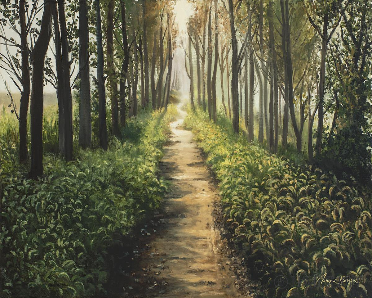 Enjoy The Beauty On Your Broken Path Forest Walkway Open Edition Print / 10 X 8 Only Art