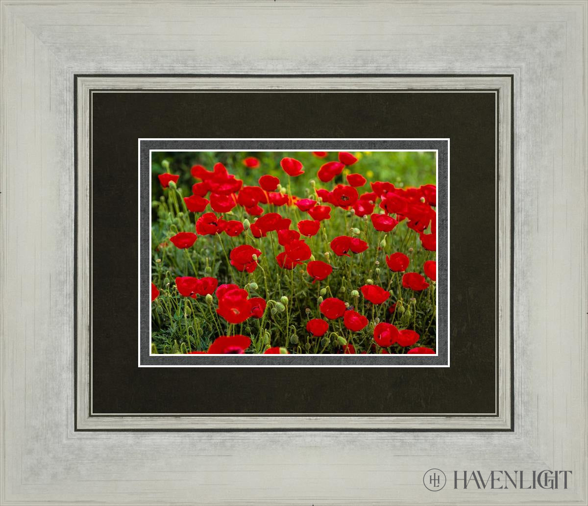 Plate 2 - Poppies In Abundance Open Edition Print / 7 X 5 Silver 14 1/4 12 Art