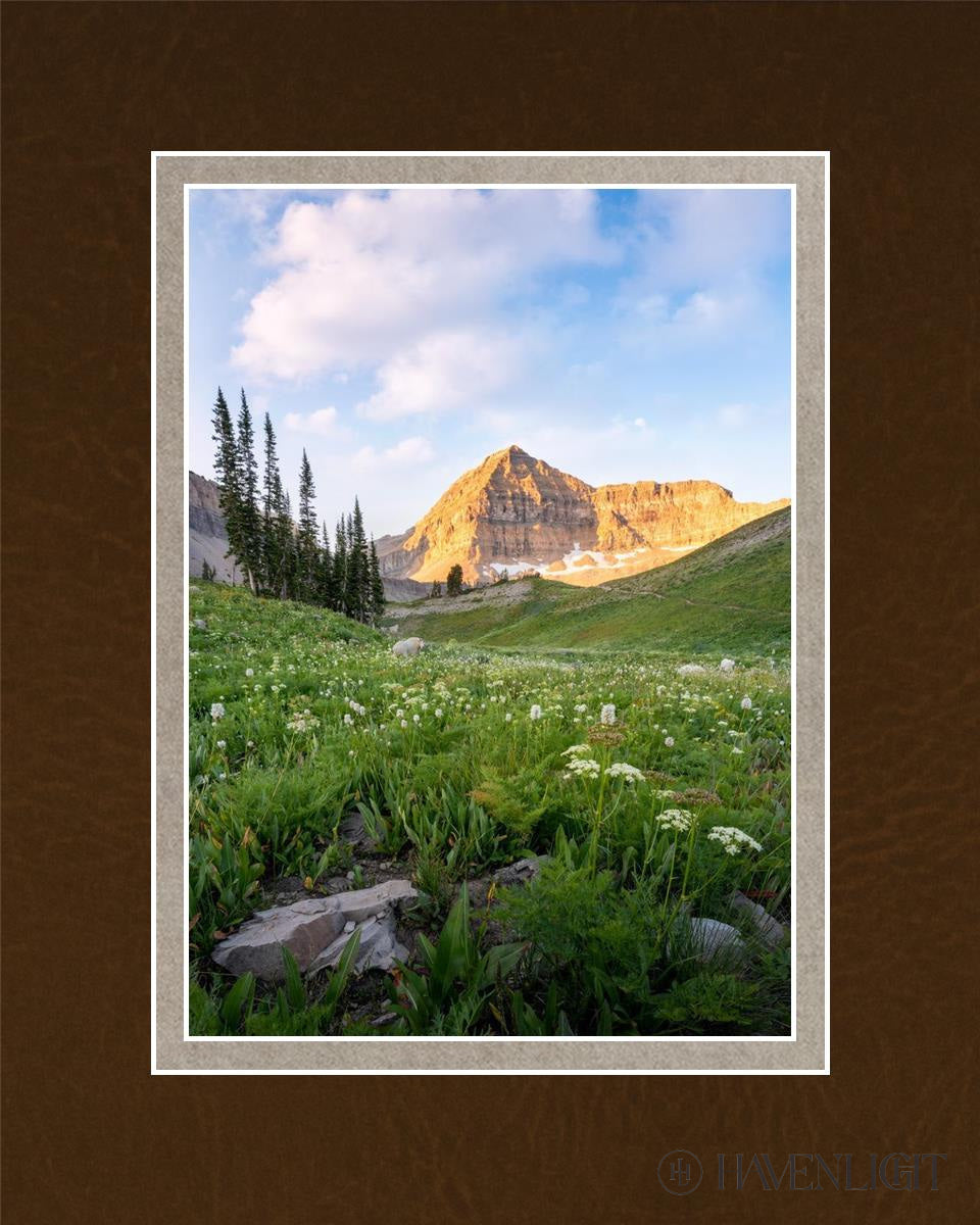 Timpanogos Meadow Open Edition Print / 5 X 7 Matted To 8 10 Art