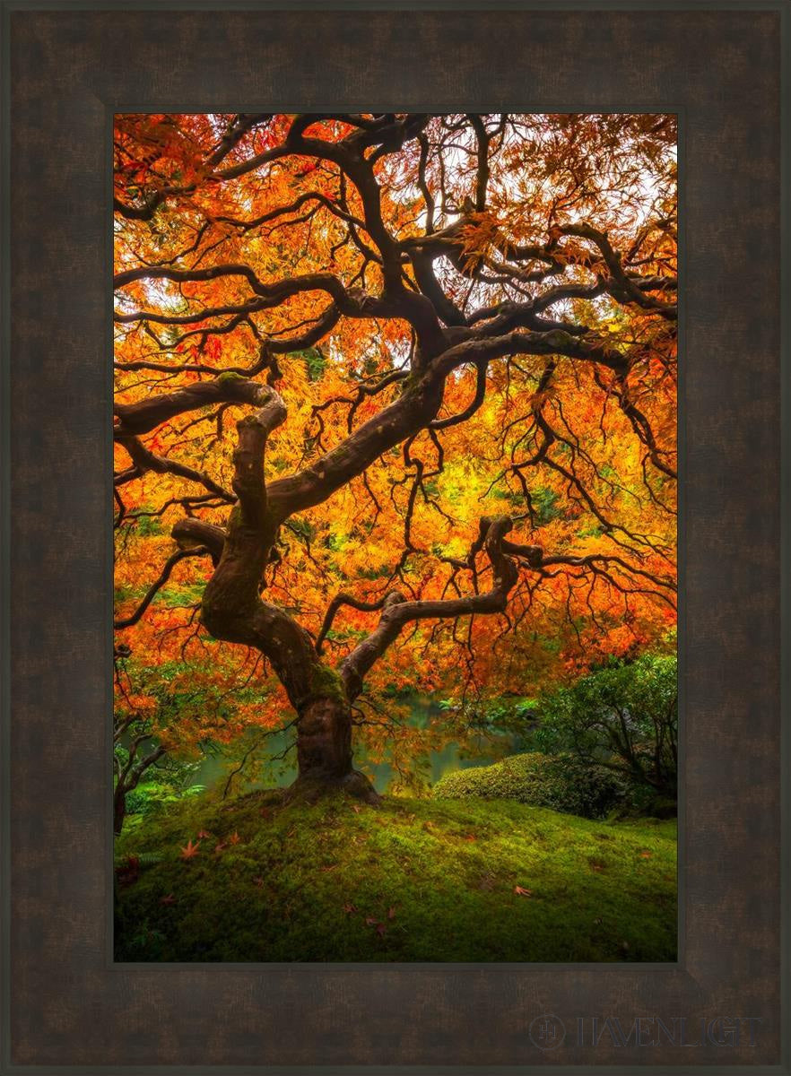 Tree Of Perspective Vertical Open Edition Canvas / 20 X 30 Bronze Frame 27 3/4 37 Art