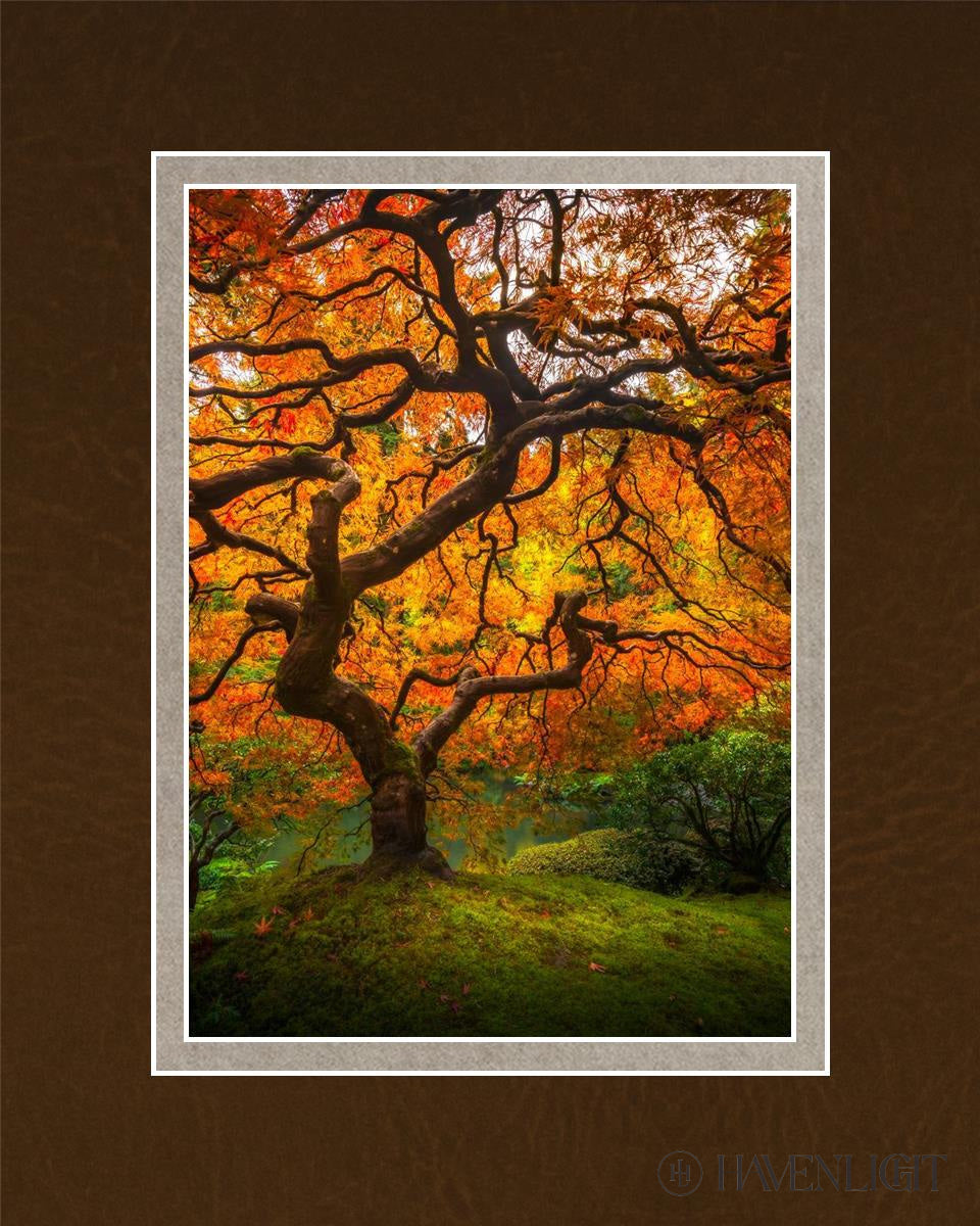 Tree Of Perspective Vertical Open Edition Print / 5 X 7 Matted To 8 10 Art