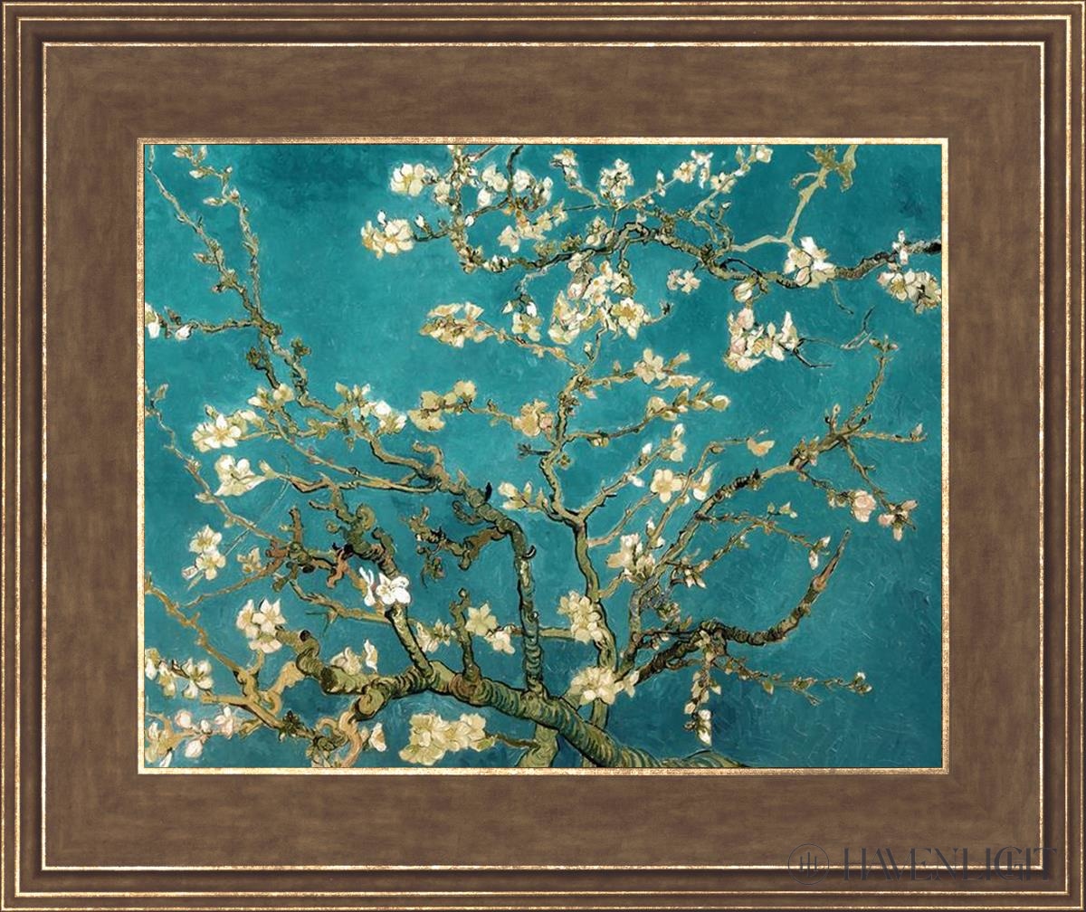 Blossoming Almond Open Edition Print / 14 X 11 Gold 18 3/4 15 Art