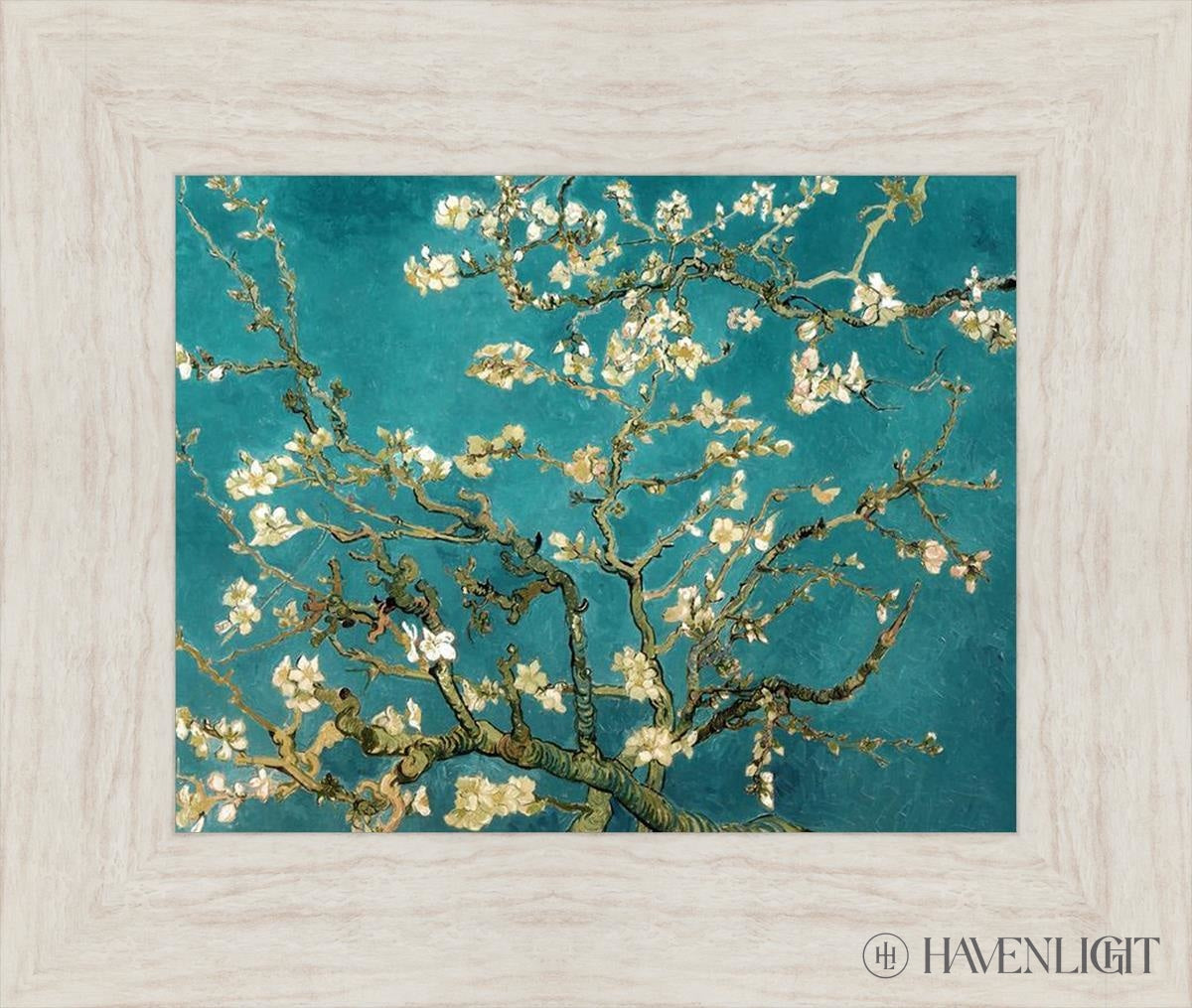 Blossoming Almond Open Edition Print / 14 X 11 Ivory 19 1/2 16 Art