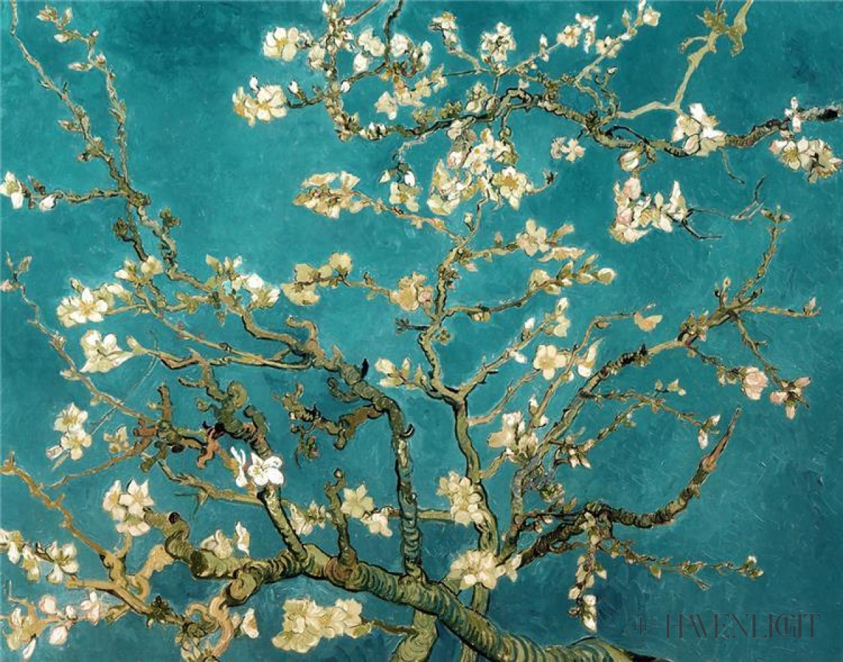 Blossoming Almond Open Edition Print / 14 X 11 Only Art