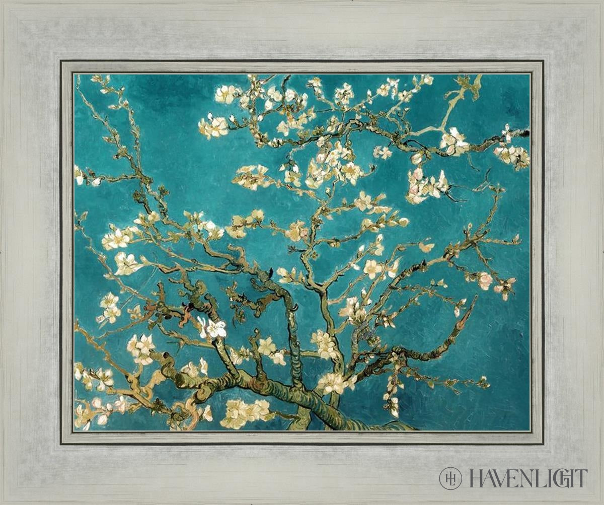 Blossoming Almond Open Edition Print / 14 X 11 Silver 18 1/4 15 Art