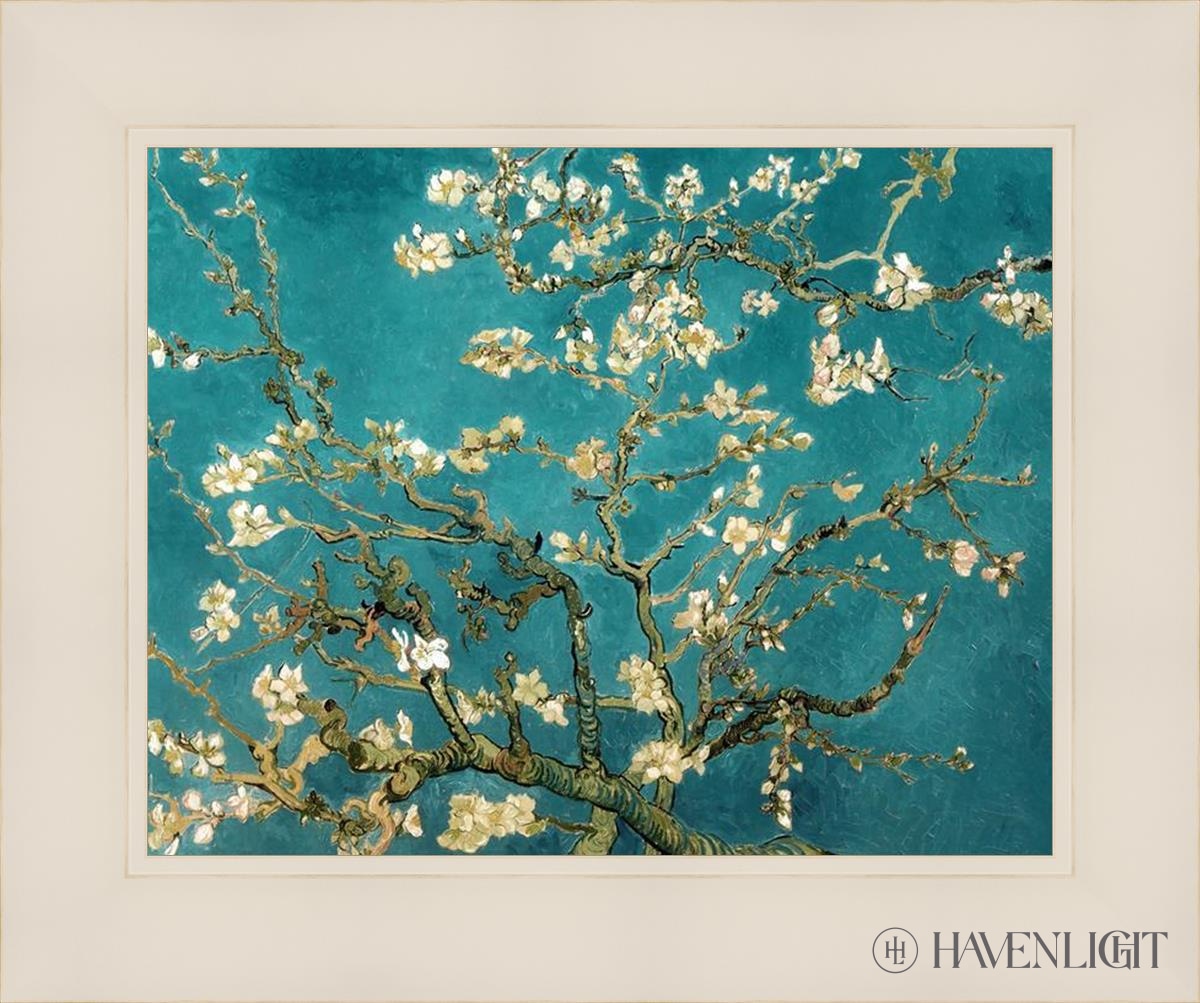 Blossoming Almond Open Edition Print / 14 X 11 White 18 1/4 15 Art