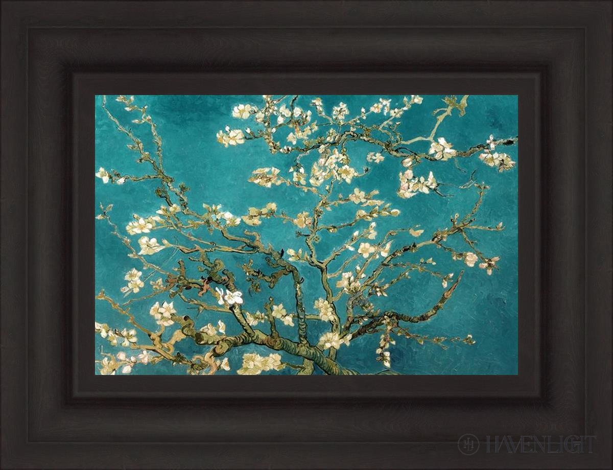 Blossoming Almond Open Edition Print / 18 X 12 Brown 25 3/4 19 Art