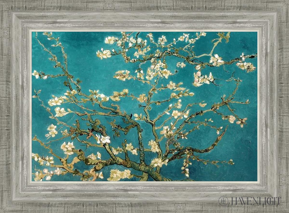 Blossoming Almond Open Edition Print / 18 X 12 Silver 22 3/4 16 Art