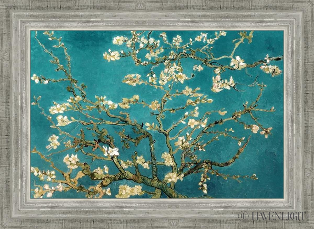 Blossoming Almond Open Edition Print / 21 X 14 Silver 25 3/4 18 Art