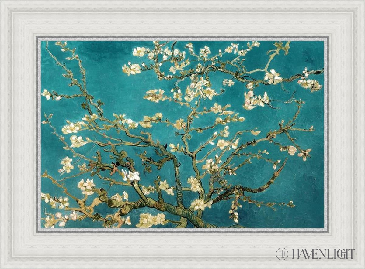 Blossoming Almond Open Edition Print / 21 X 14 White 26 3/4 19 Art