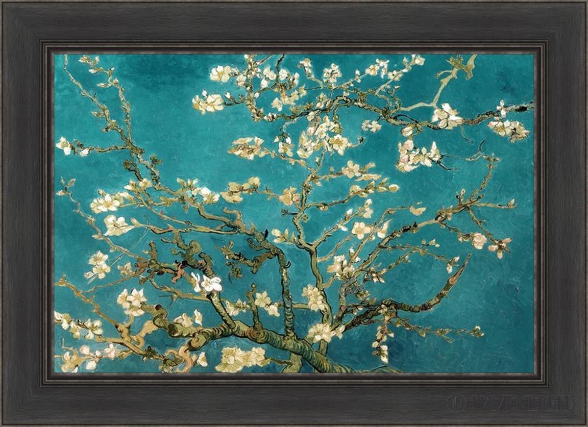 Blossoming Almond Open Edition Print / 30 X 20 Black 36 1/2 26 Art