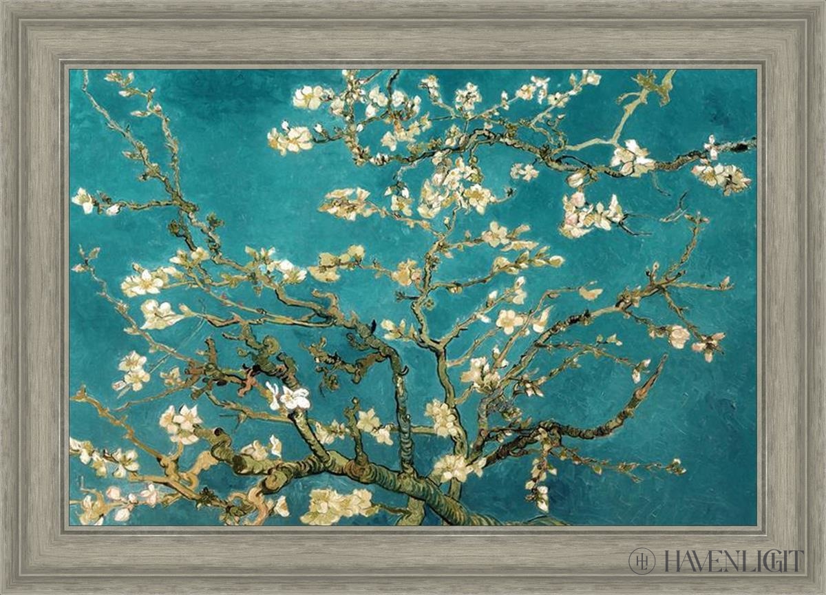 Blossoming Almond Open Edition Print / 30 X 20 Gray 35 3/4 25 Art