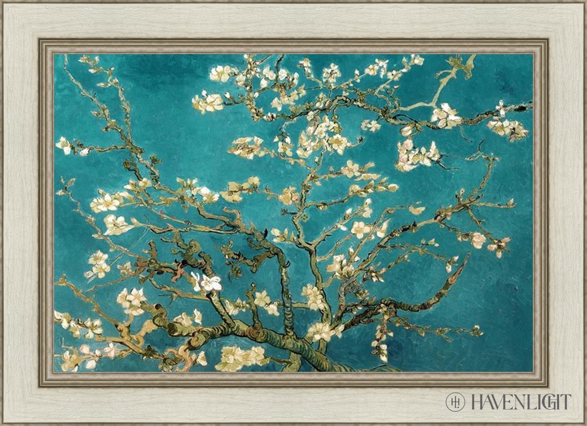 Blossoming Almond Open Edition Print / 30 X 20 Ivory 36 1/2 26 Art
