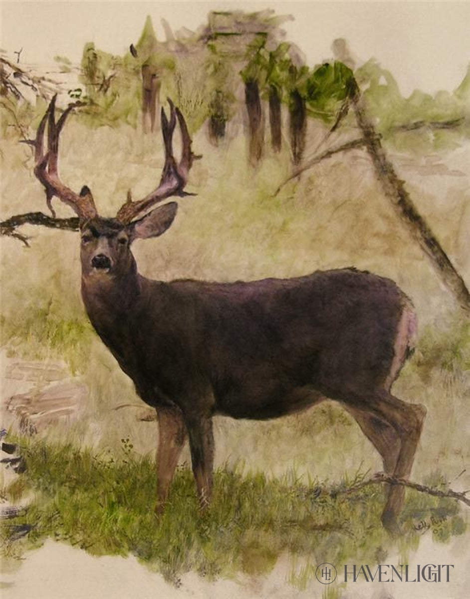 Mule Deer Open Edition Print / 11 X 14 Only Art