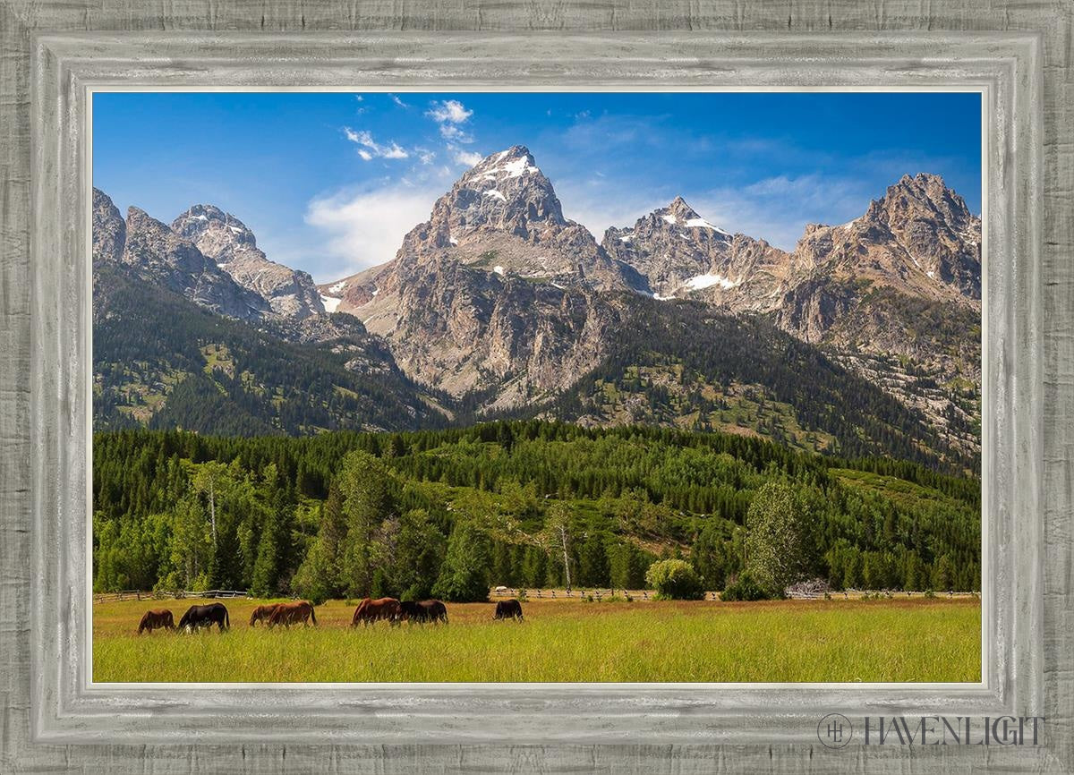 Panorama Of Grand Teton Mountain Range Wyoming Open Edition Canvas / 24 X 16 Silver 28 3/4 20 Art