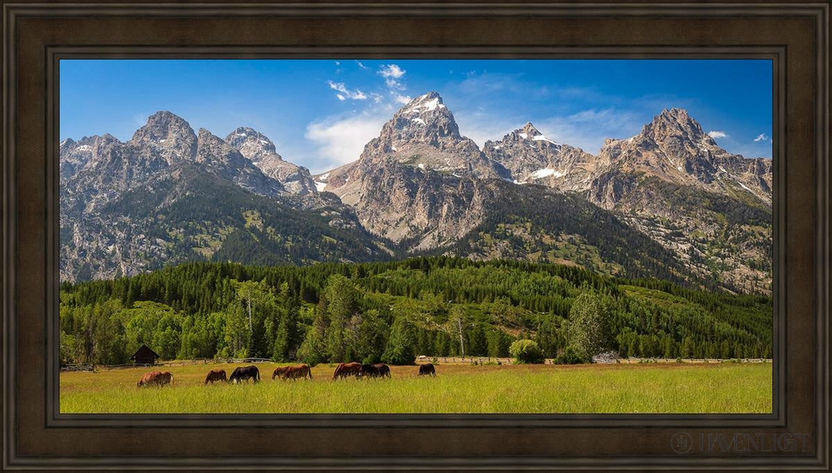 Panorama Of Grand Teton Mountain Range Wyoming Open Edition Canvas / 48 X 24 Brown 55 3/4 31 Art