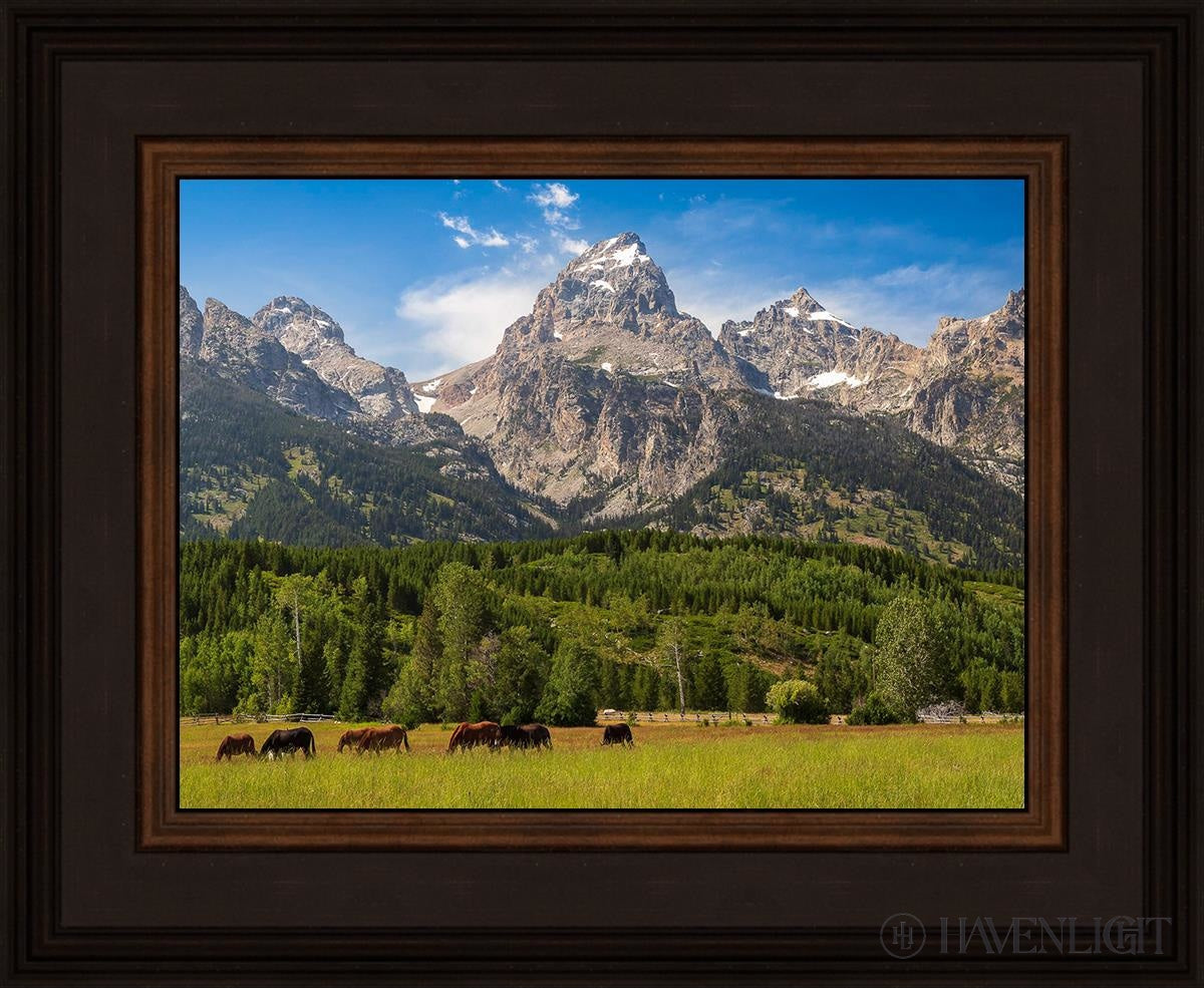 Panorama Of Grand Teton Mountain Range Wyoming Open Edition Print / 12 X 9 Brown 16 3/4 13 Art