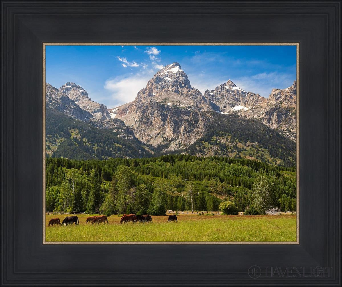 Panorama Of Grand Teton Mountain Range Wyoming Open Edition Print / 14 X 11 Black 18 3/4 15 Art