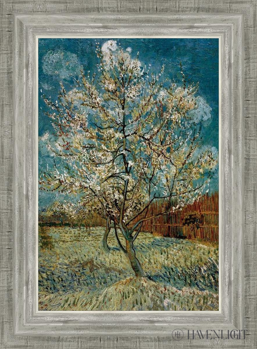 Peach Tree In Blossom Open Edition Print / 12 X 18 Silver 16 3/4 22 Art