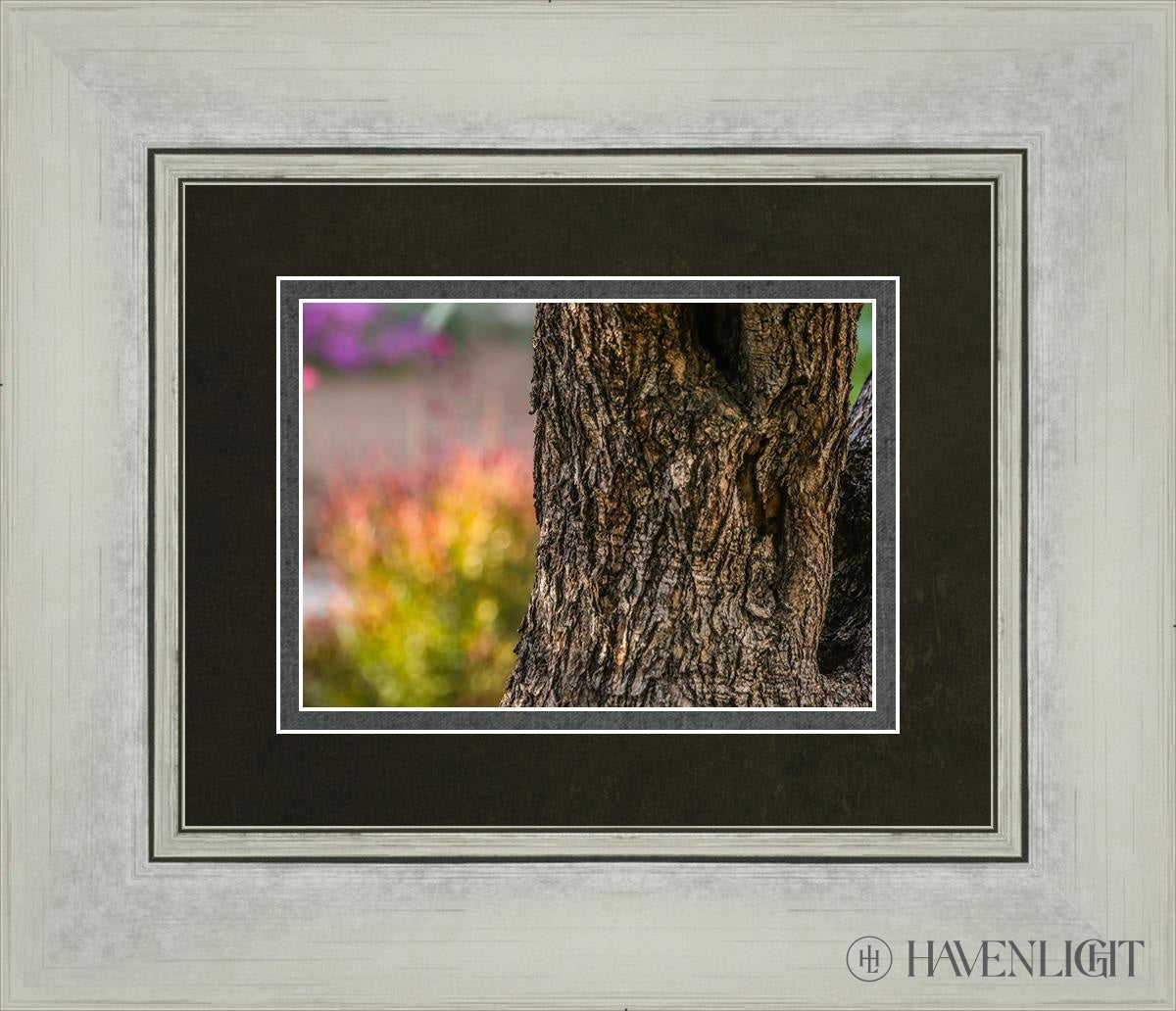 Plate 11 - Gethsemane Impression Open Edition Print / 7 X 5 Silver 14 1/4 12 Art