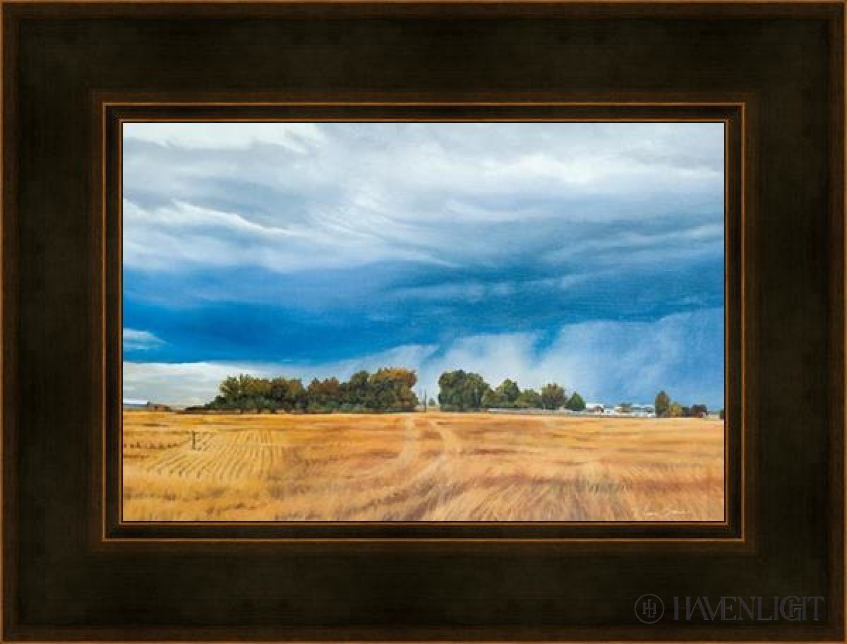 Stormy Skies Open Edition Canvas / 18 X 12 Frame A 19 25 Art