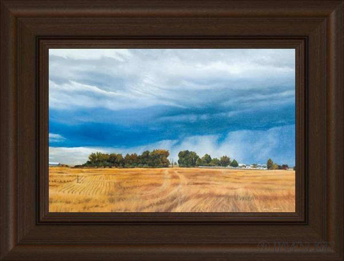 Stormy Skies Open Edition Canvas / 18 X 12 Frame E 3/4 24 Art