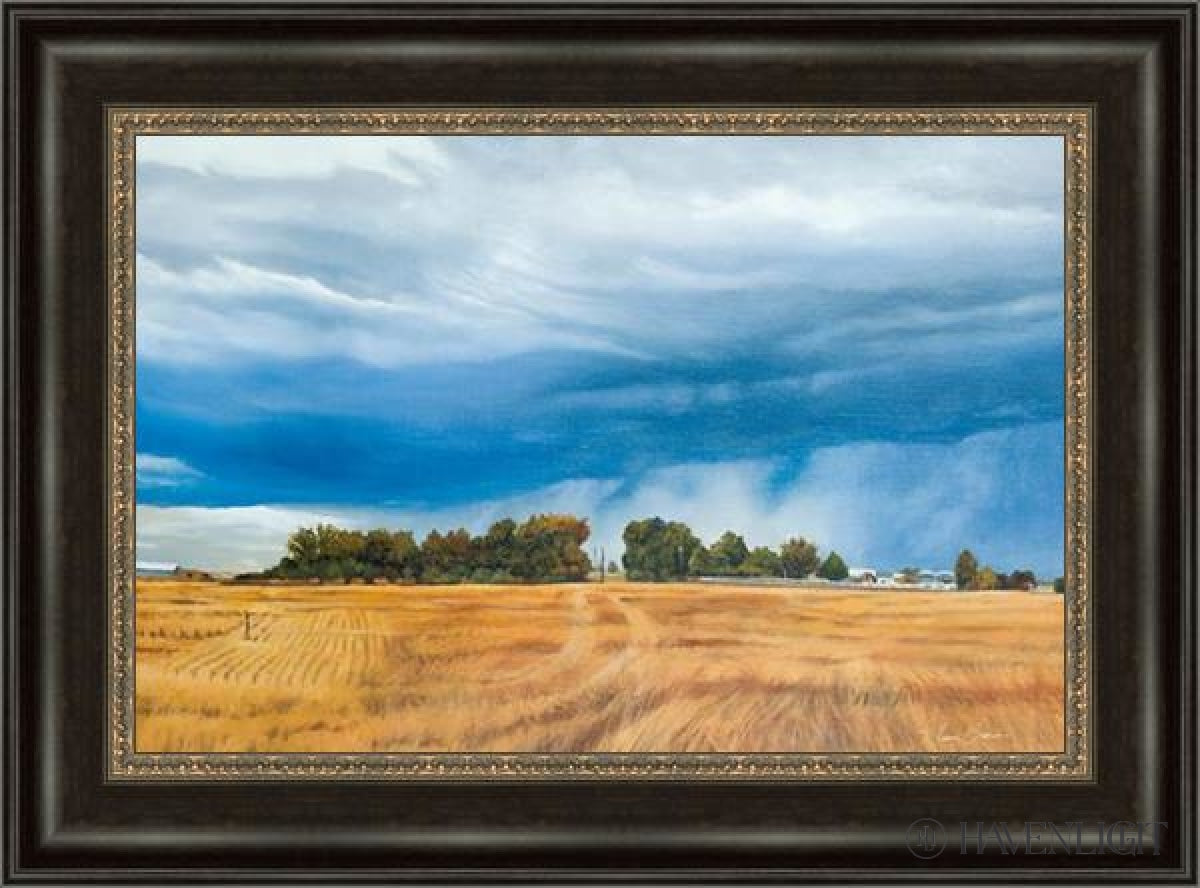 Stormy Skies Open Edition Canvas / 24 X 16 Frame W 22 3/4 30 Art