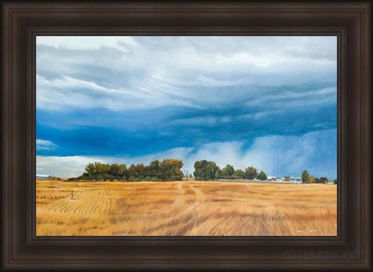 Stormy Skies Open Edition Canvas / 36 X 24 Frame F 32 1/4 44 Art