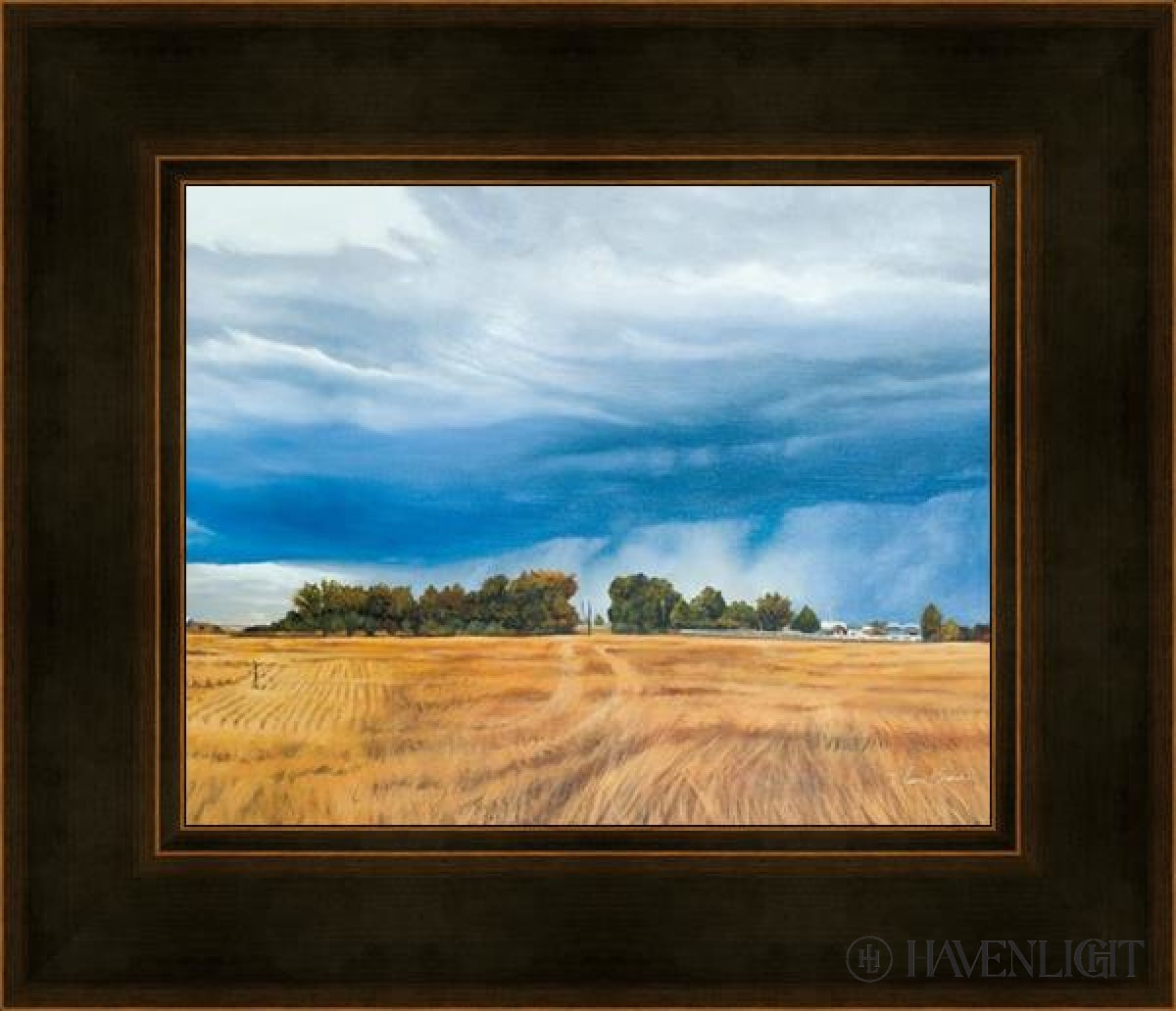 Stormy Skies Open Edition Print / 10 X 8 Frame A 12 1/4 14 Art