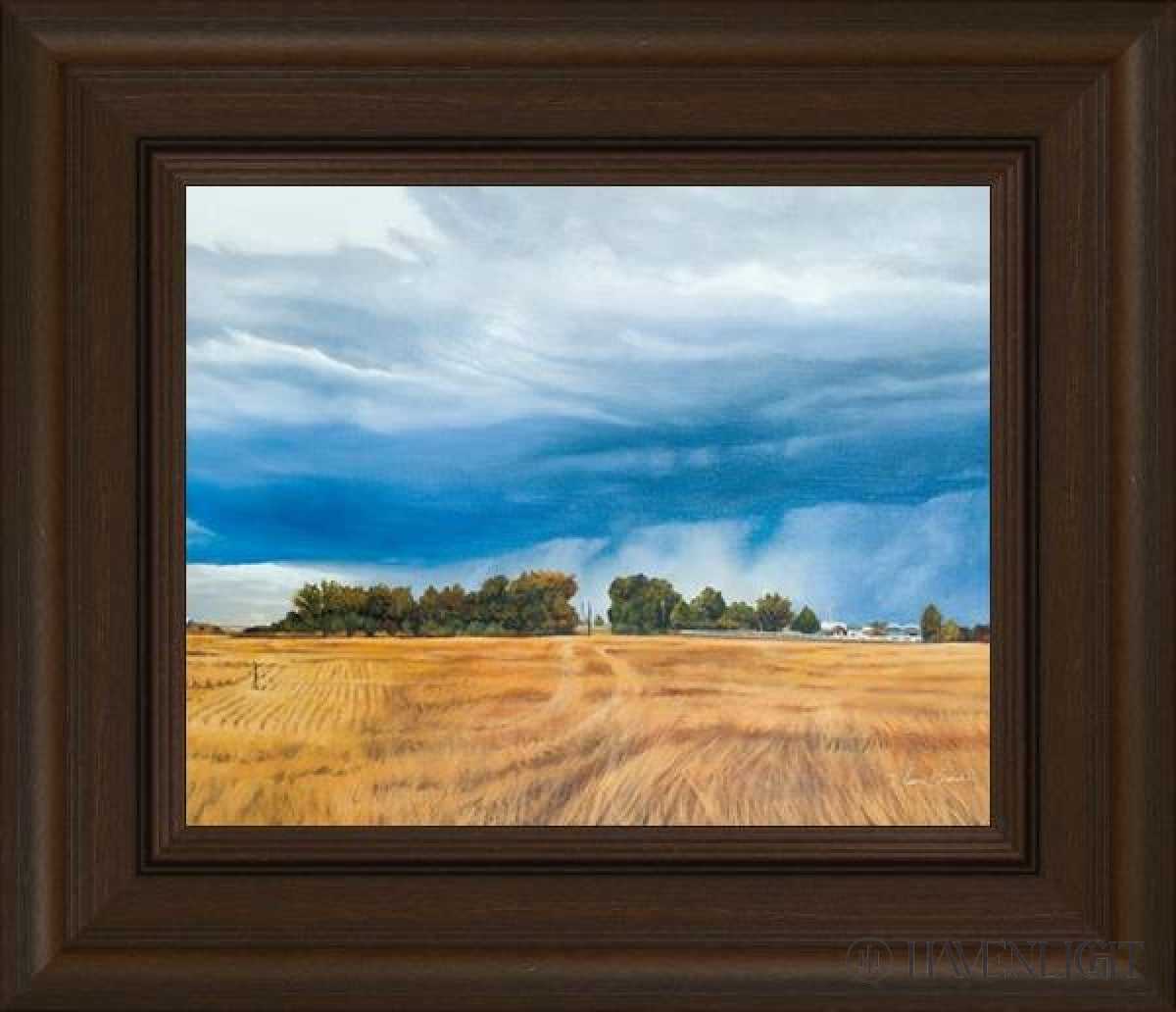 Stormy Skies Open Edition Print / 10 X 8 Frame R 12 1/4 14 Art