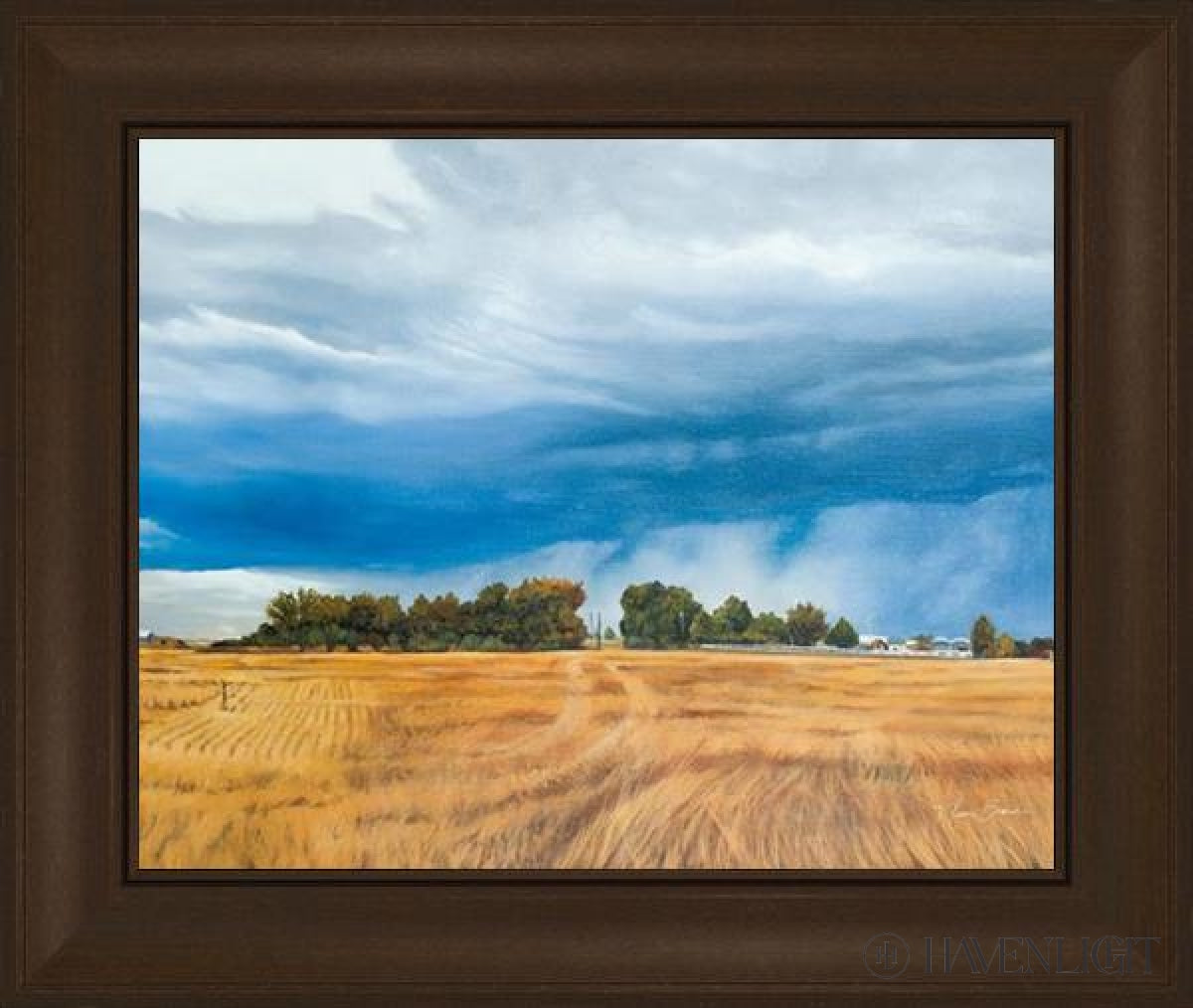 Stormy Skies Open Edition Print / 20 X 16 Frame C 21 3/4 25 Art