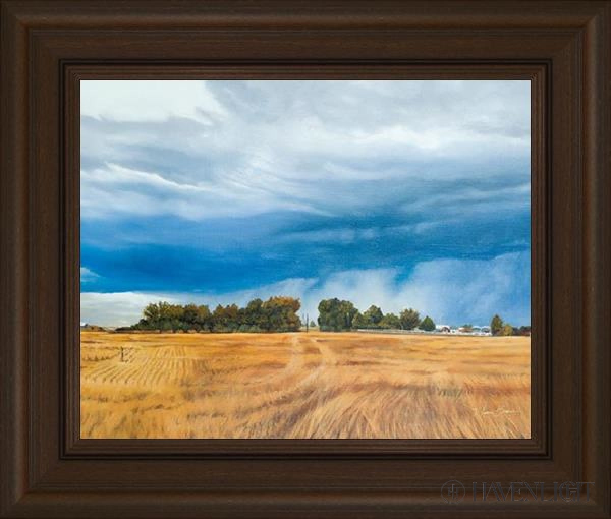 Stormy Skies Open Edition Print / 20 X 16 Frame E 22 3/4 26 Art