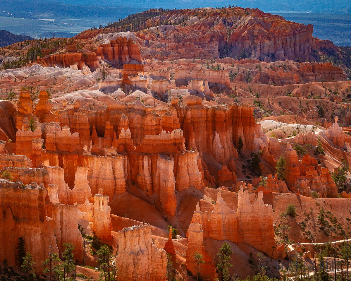 The Hoodoos Of Bryce Canyon National Park Utah Open Edition Print / 10 X 8 Only Art