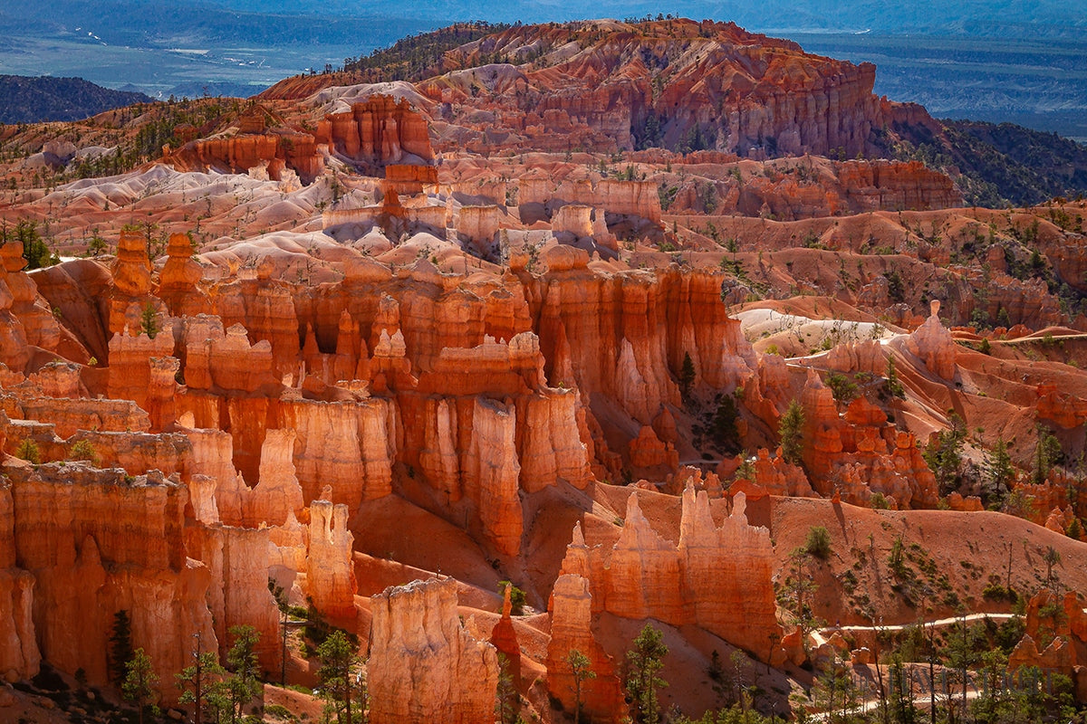 The Hoodoos Of Bryce Canyon National Park Utah Open Edition Print / 12 X 9 Only Art