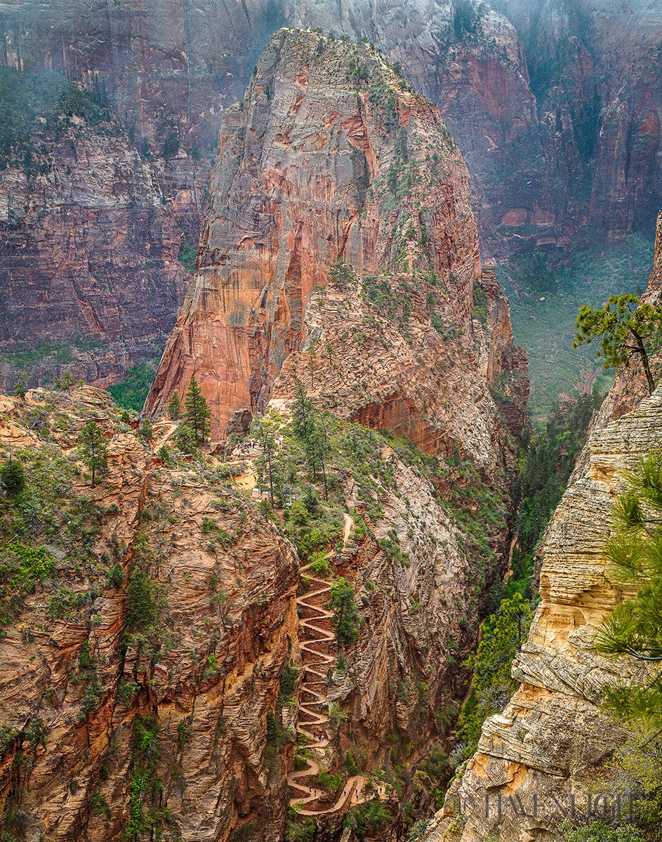 Walter Wiggles Angels Landing Zion National Park Utah Open Edition Print / 11 X 14 Only Art