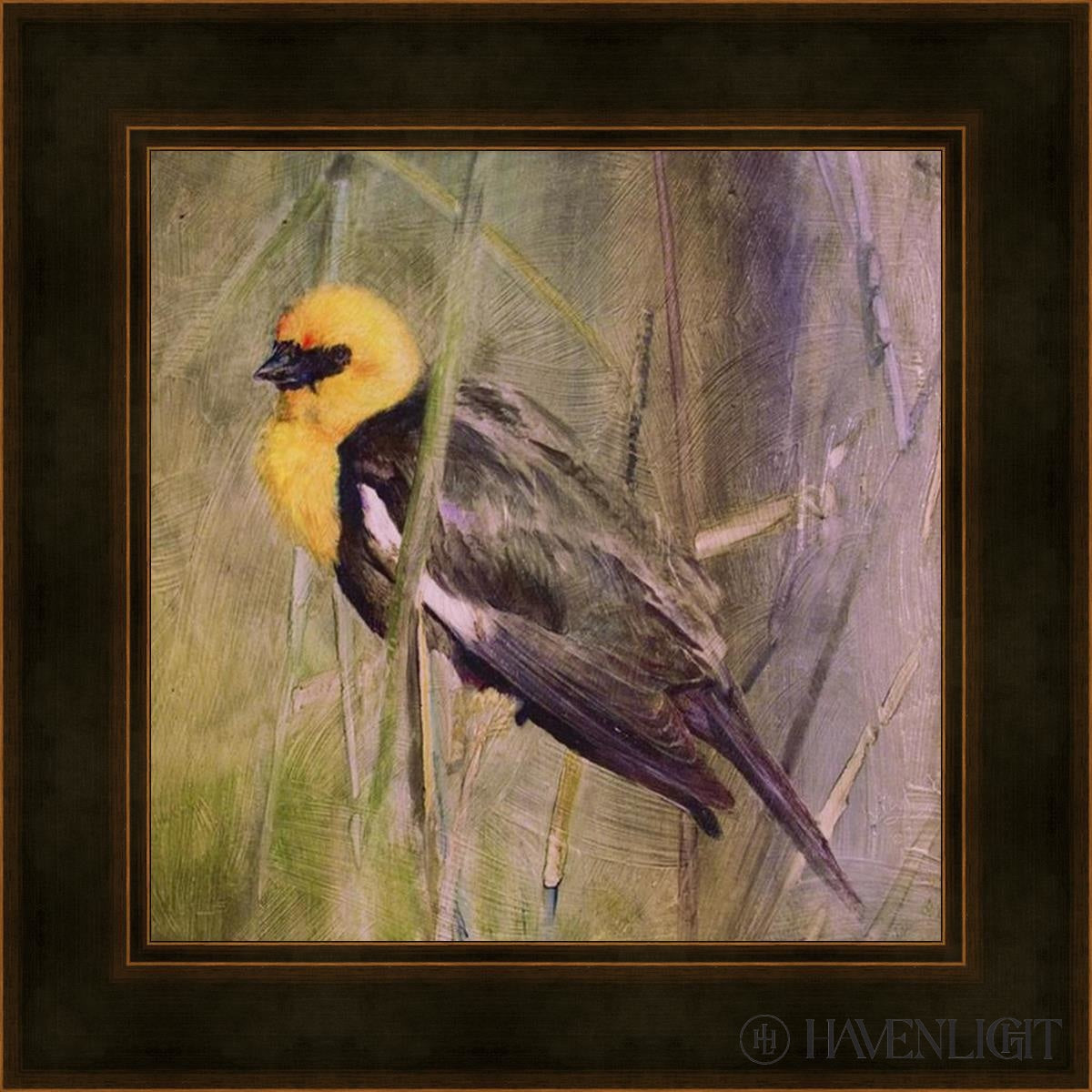 Yellow Headed Black Bird Open Edition Print / 12 X Frame A 16 1/4 Art