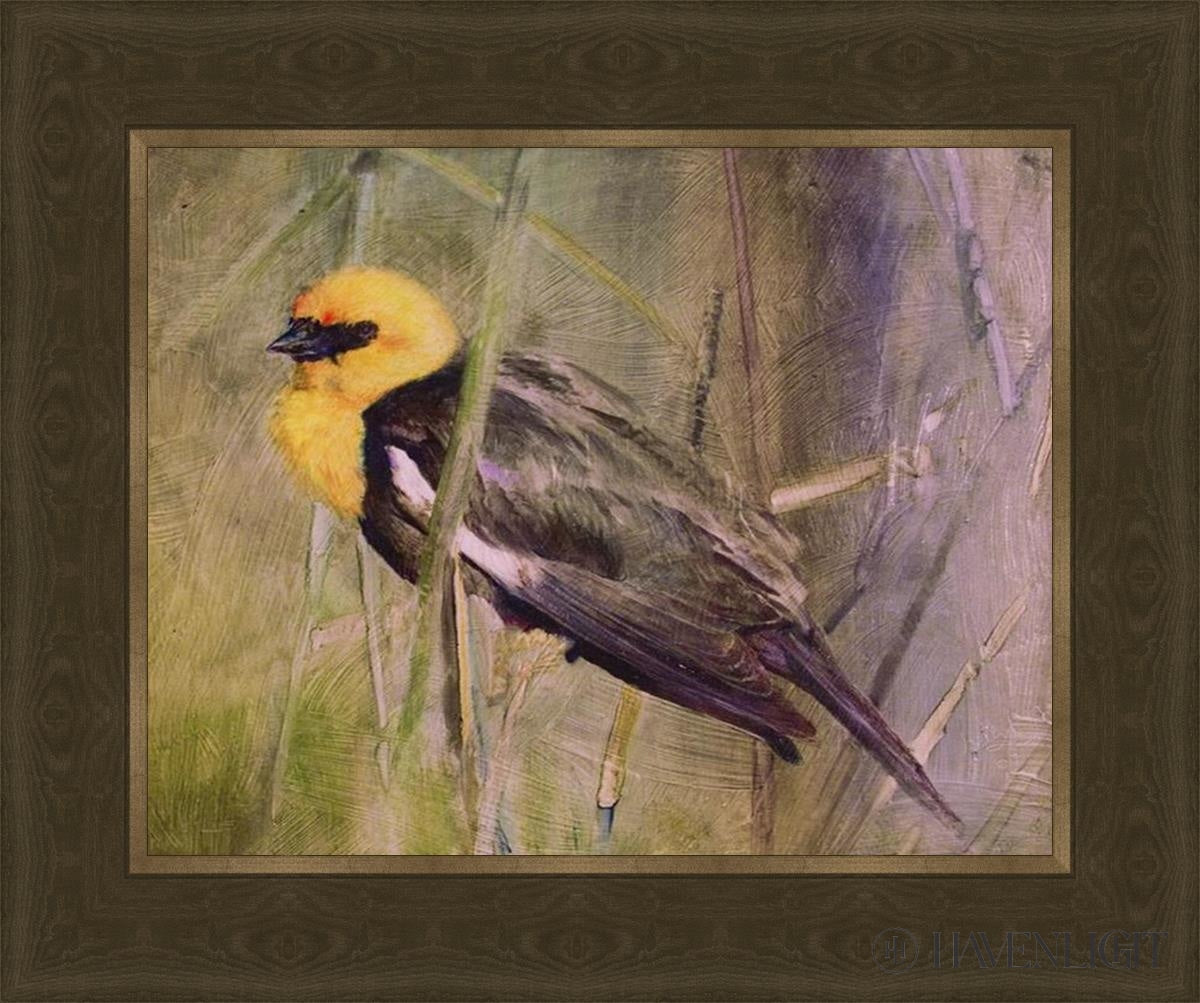 Yellow Headed Black Bird Open Edition Print / 14 X 11 Frame G 18 1/4 15 Art