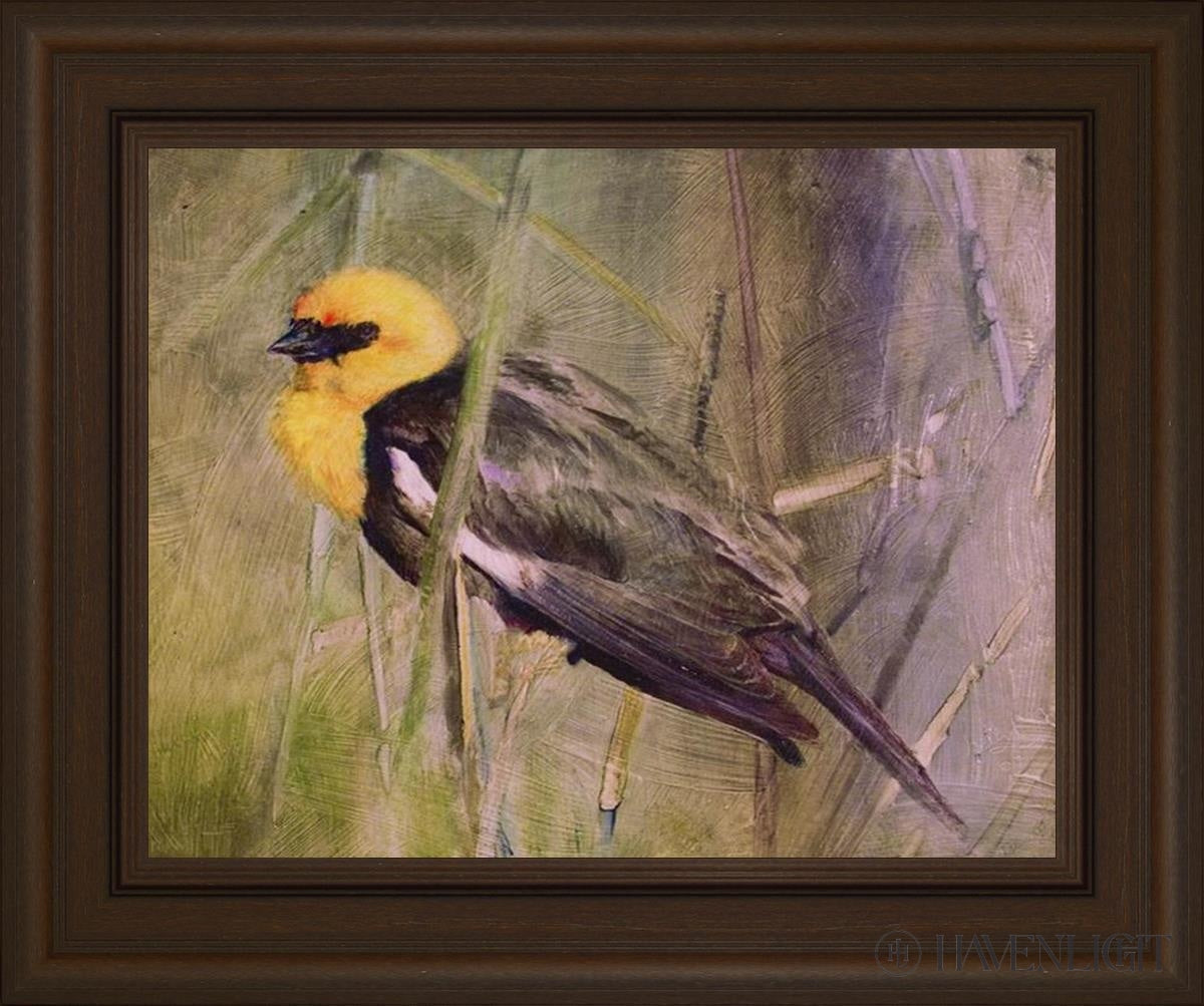 Yellow Headed Black Bird Open Edition Print / 14 X 11 Frame S 18 1/4 15 Art