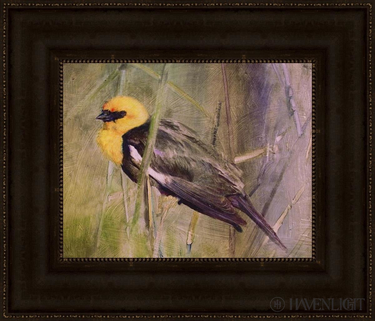 Yellow Headed Black Bird Open Edition Print / 14 X 11 Frame T 20 3/4 17 Art