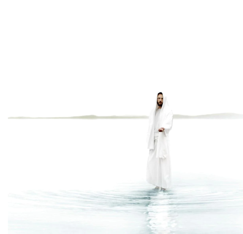 Spring 2024 Collection Havenlight spring-2024-collection-havenlight