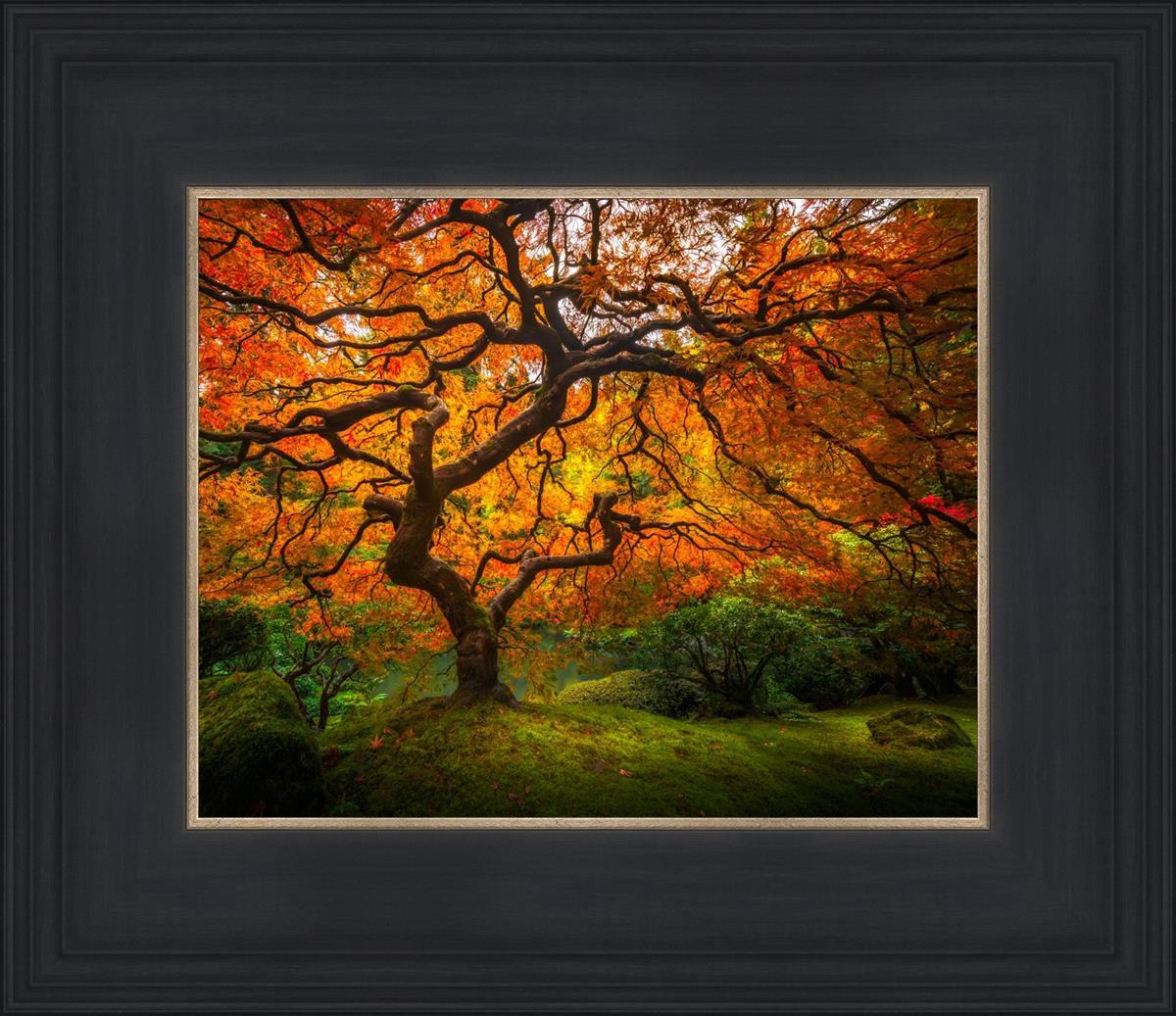 鉛筆画「Amber in autumn」　B5大サイズ AF1022708FMG.jpg?v=1751120362&