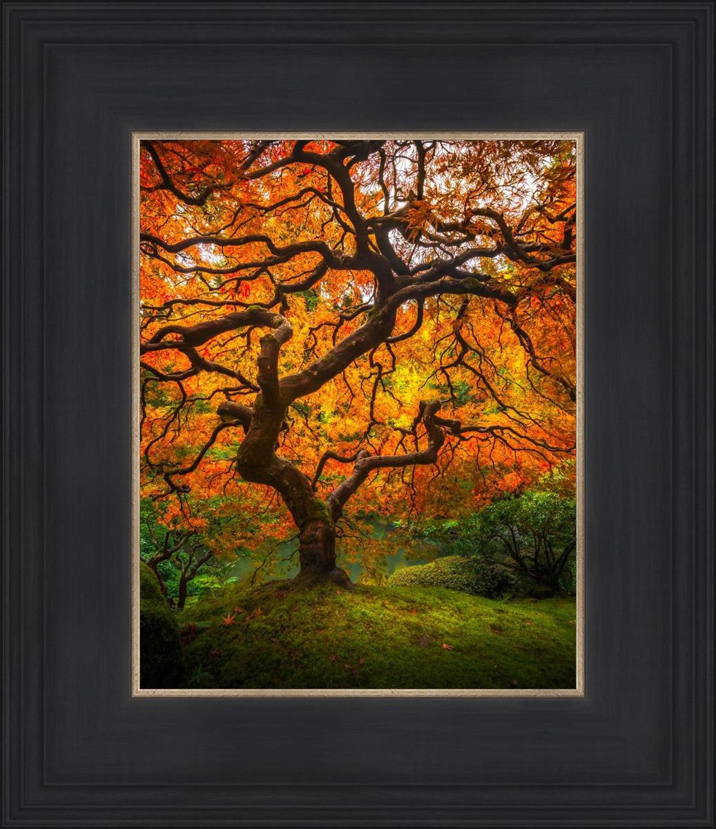Tree of Perspective vertical by Alan Fullmer beautiful tree fall