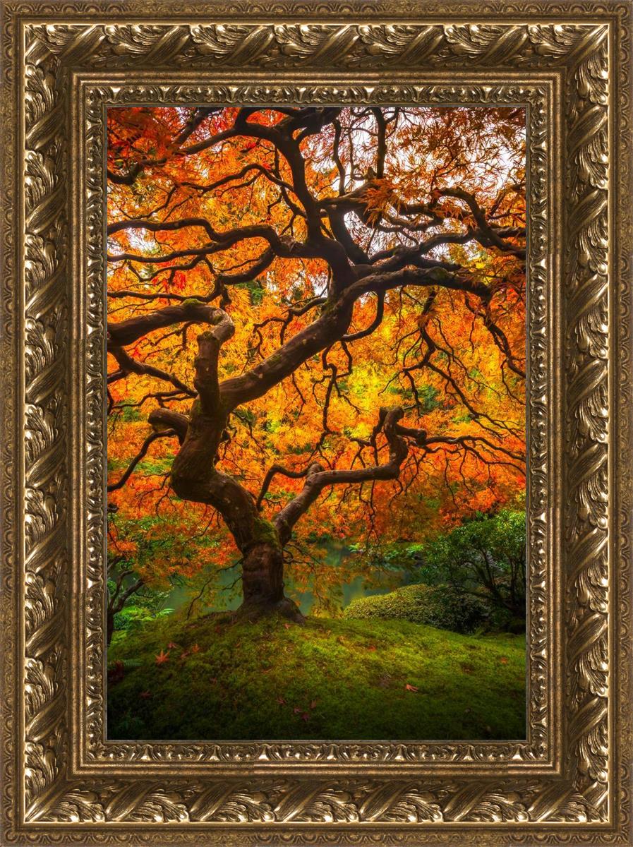 Tree of Perspective vertical by Alan Fullmer beautiful tree fall