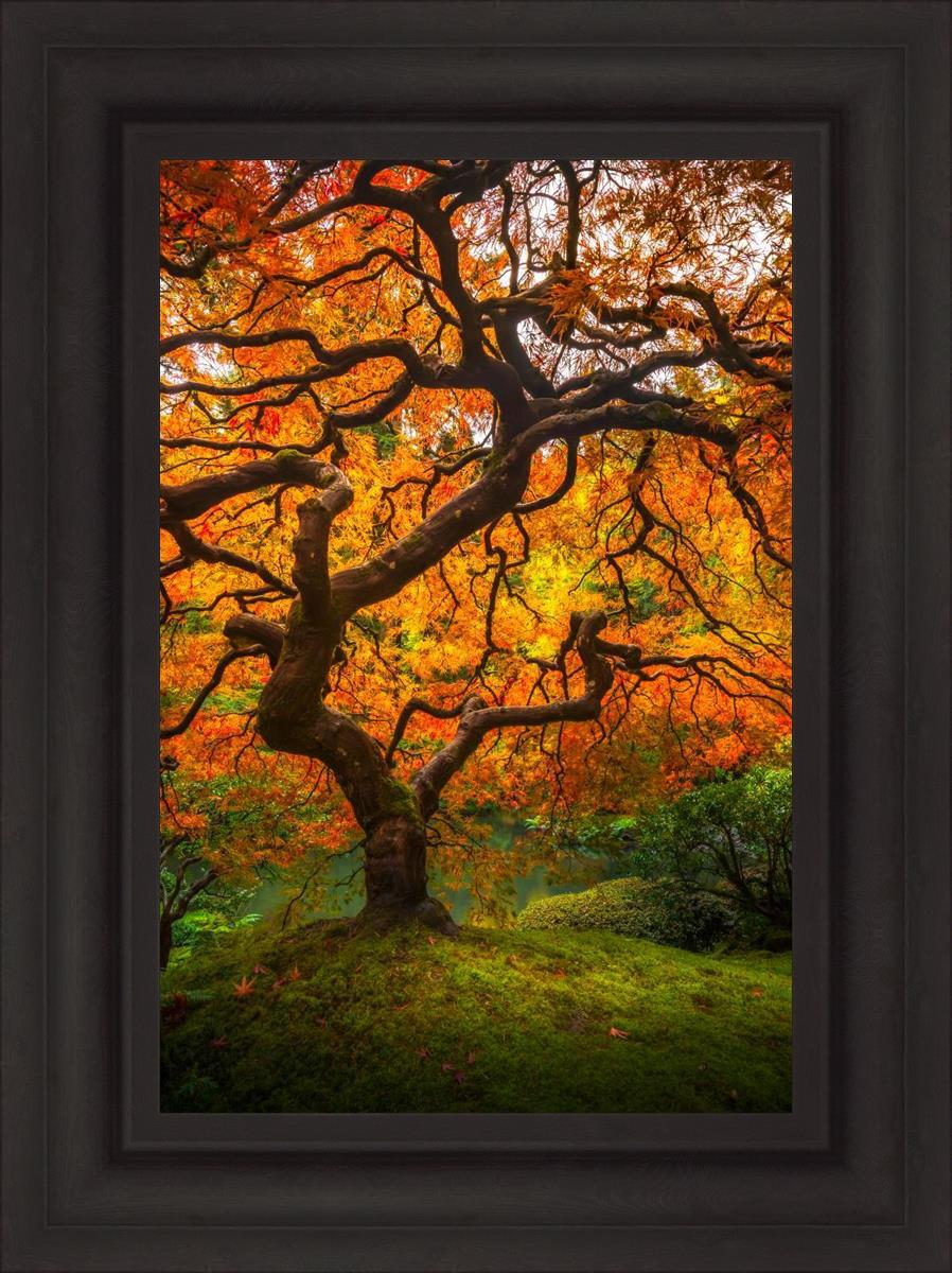 AF1022717FBR.jpg?v=1751120496&