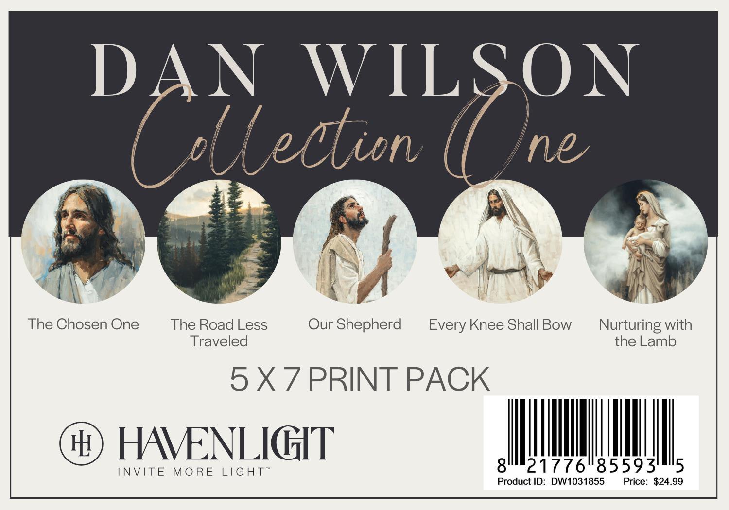 5 X 7 Print Pack by Dan Wilson Collection 1