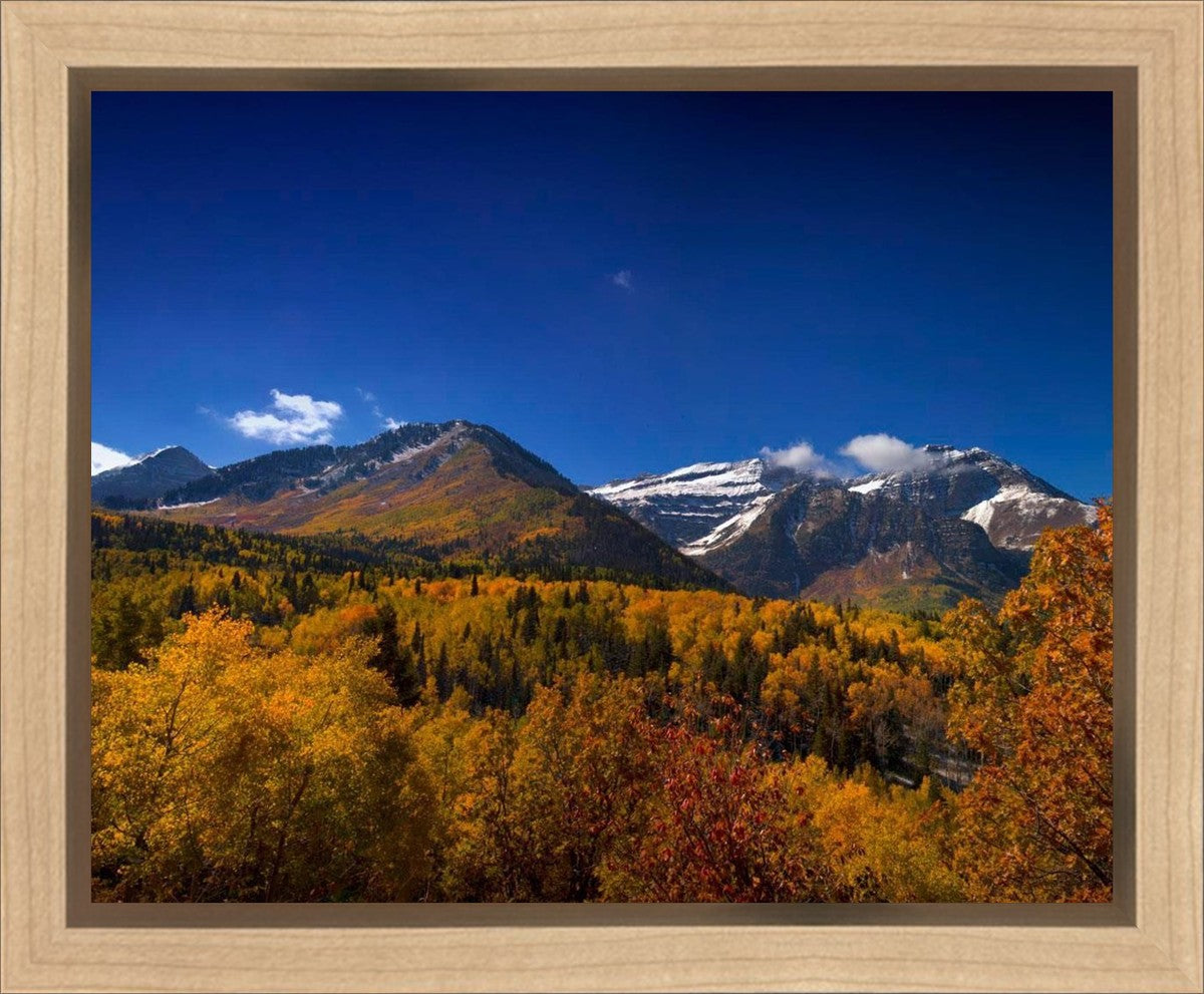 Back Side Of Timpanogos