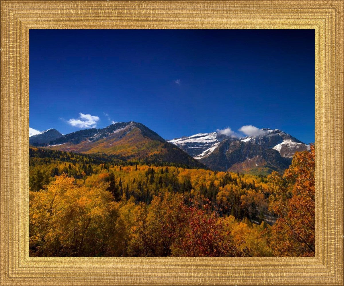 Back Side Of Timpanogos